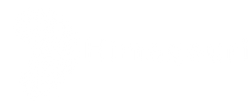 Himagauri Sarees Logo (White)