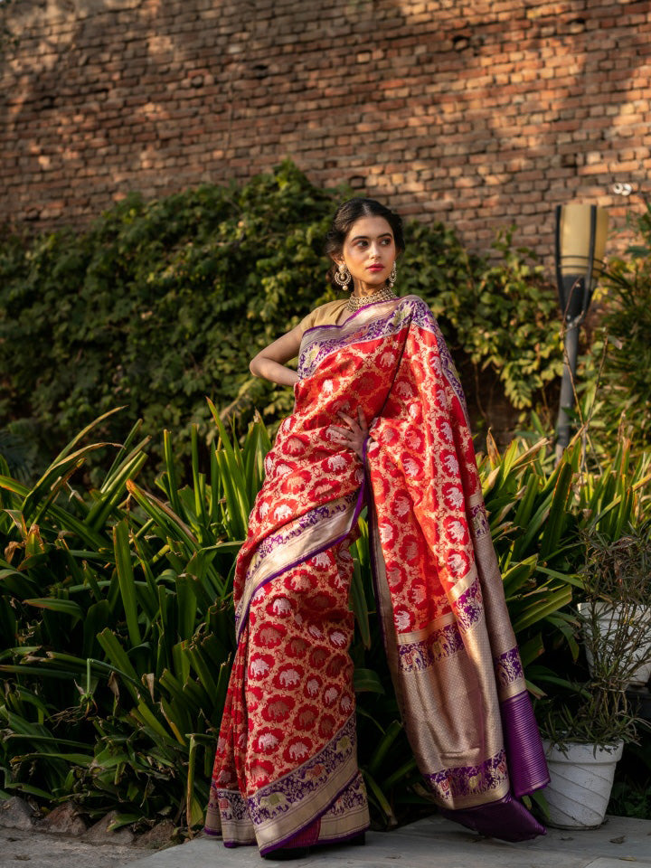 Shop Online Red and Pink Embroidered Handloom Sari with Saree Blouse – Pure  Elegance